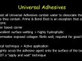 Universal Adhesives - Water-Based Carriers