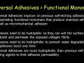 Universal Adhesives - Functional Monomers
