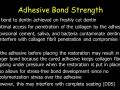 Immediate Dentin Sealing: Adhesive Bond Strength