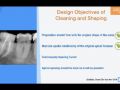Endodontic Shaping Principles